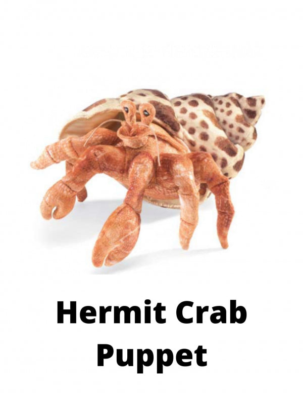 Hermit Crab Puppet