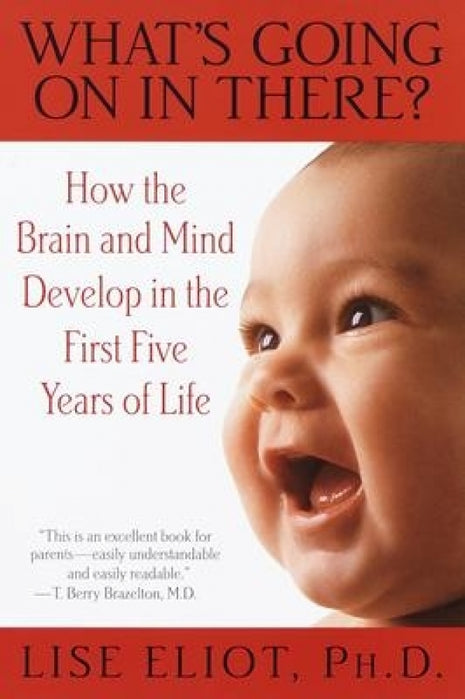 What's Going on in There? (Brain Development in Early Childhood)