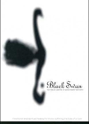 Black Swan:  The Twelve Lessons Of Abandonment Recovery