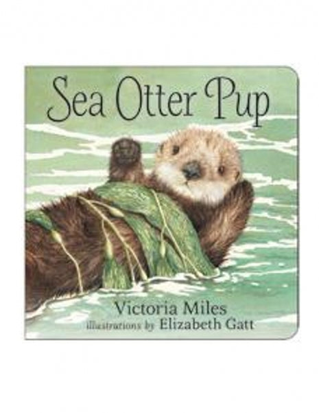 Sea Otter Pup