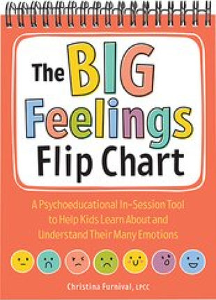 Big Feelings Flip Chart