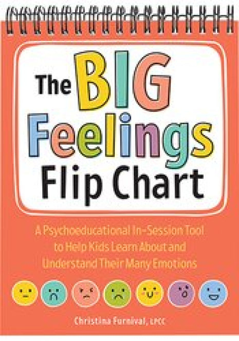 Big Feelings Flip Chart