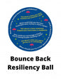 Bounce Back Resiliency Ball