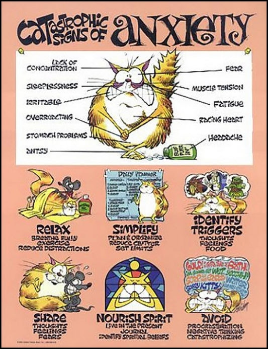 Anxiety Poster Laminated
