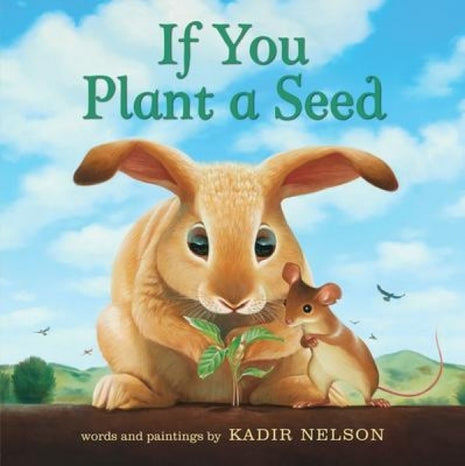 If You Plant A Seed board book