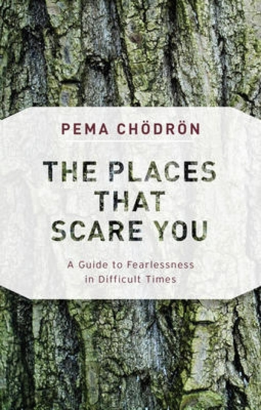 Places That Scare You: Fearlessness in Difficult Times