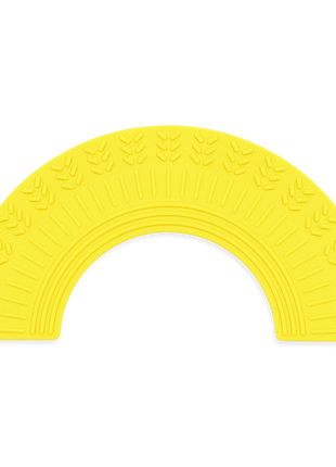 Chewable Rainbow Fidget