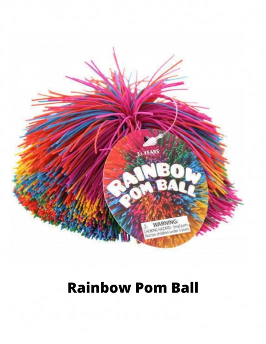 Rainbow Pom Ball