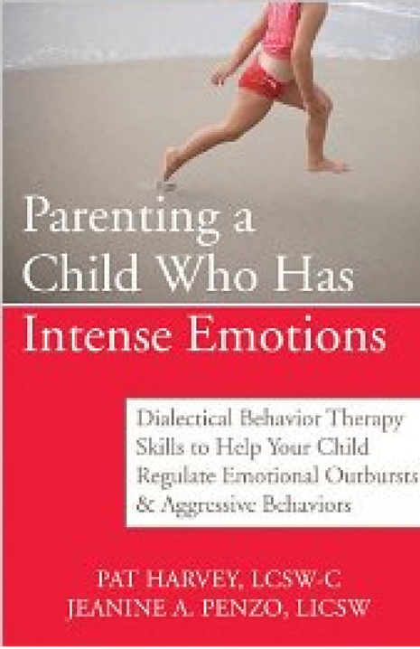 Parenting A Child Who Has Intense Emotions