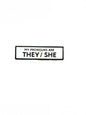 My Pronouns Are They/She Pin