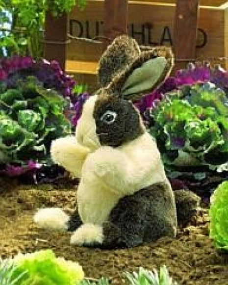 Baby Dutch Rabbit Puppet