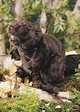 Beaver Puppet