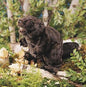 Beaver Puppet