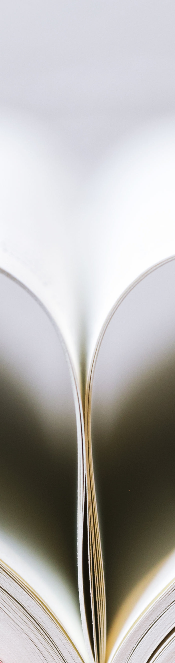 <h2>‘‘... I wish existed when I was a kid <3 if you're looking for resources on mental health, disabilities or even just inclusive books for kids or adults, this is the place! They have a wonderful selection of books, tools, workbooks and fidgets.’’</h2><h4>⭐⭐⭐⭐⭐<br/></h4><h5>Alyssa - Google Review</h5><p>Aug 15, 2024<br/></p>