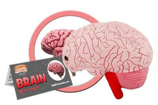 Brain Plush
