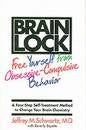 Brain Lock:  OCD