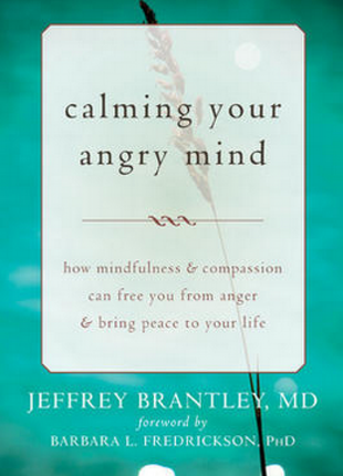 Calming Your Angry Mind