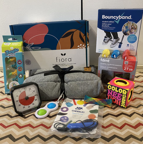 Classroom Kit (12 pieces)