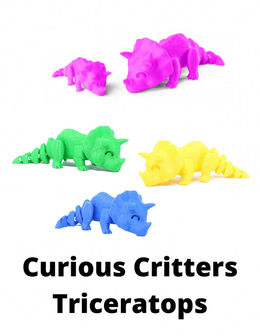Curious Critters Triceratops