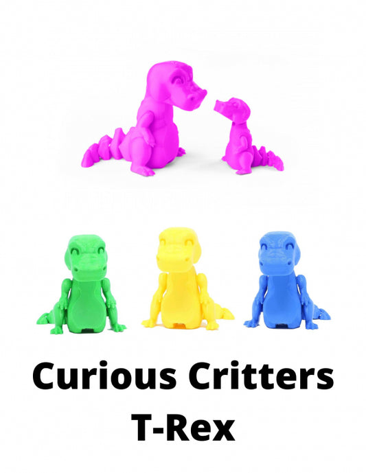 Curious Critters T-Rex