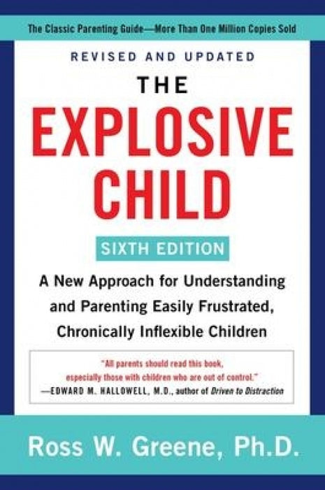 Explosive Child