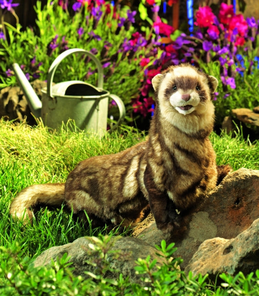 Ferret Puppet