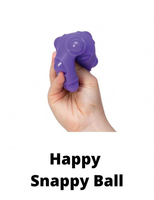 Happy Snappy Nee Doh Ball