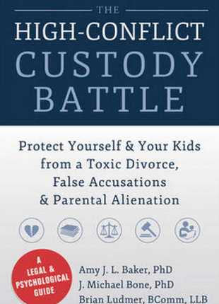 High-Conflict Custody Battle
