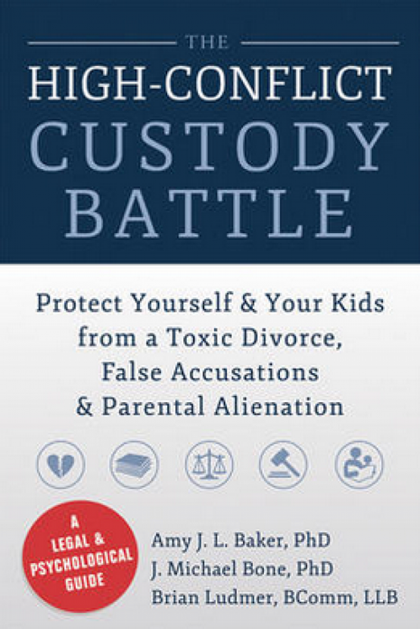 High-Conflict Custody Battle