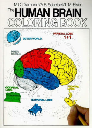 Human Brain Coloring Book