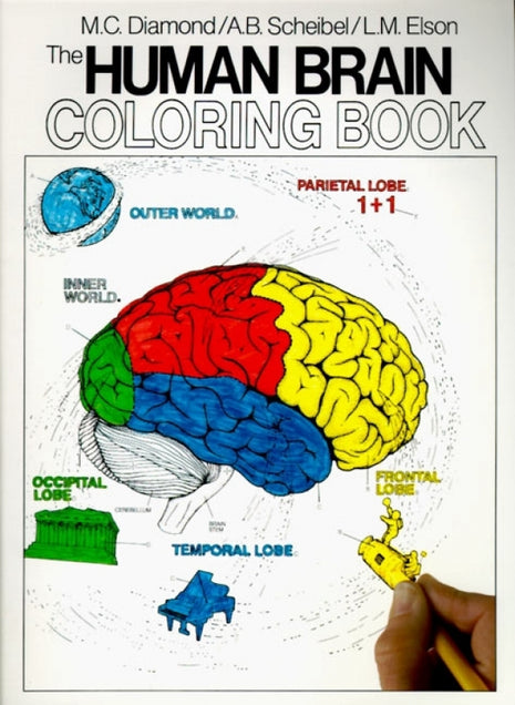 Human Brain Coloring Book