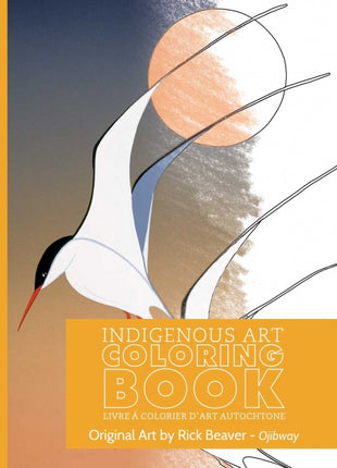 Indigenous Art Coloring Book Hummingbird