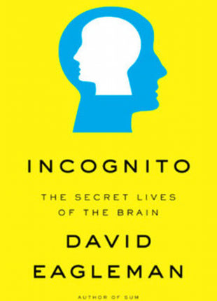 Incognito: the Secret Life of the Brain