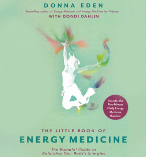Little Book of Energy Medicine