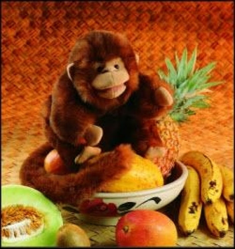Monkey Puppet