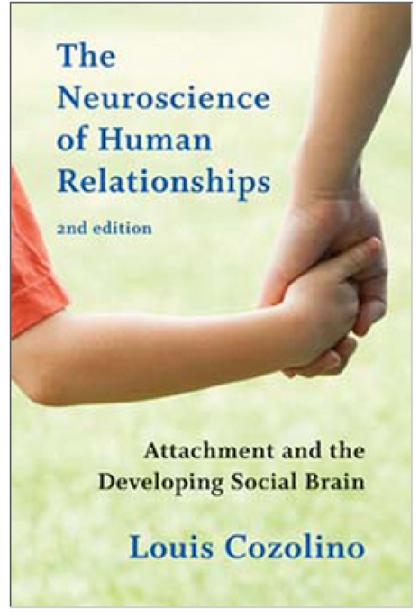 Neuroscience of Human Relationships (2nd Edition)