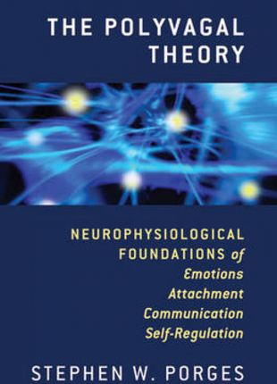 Polyvagal Theory (Self Regulation)