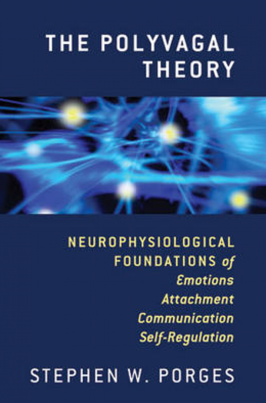 Polyvagal Theory (Self Regulation)
