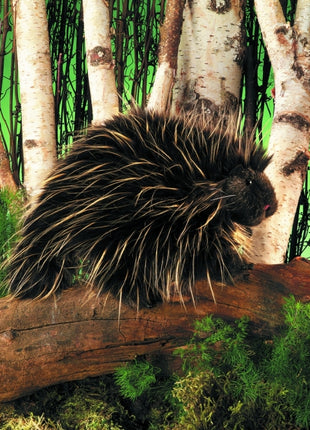 Porcupine Puppet