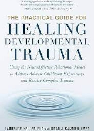 Practical Guide For Healing Developmental Trauma