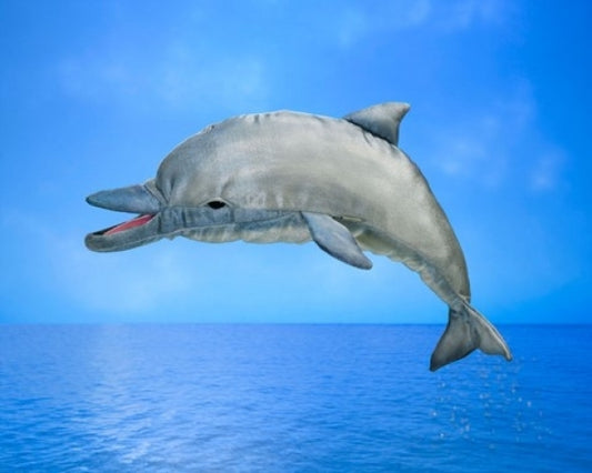 Whistling Dolphin Puppet
