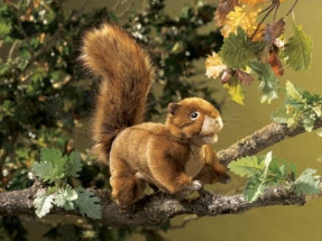 Red Squirrel Puppet