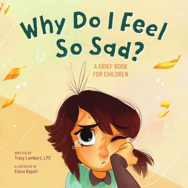 Why Do I Feel So Sad?: A Grief Book for Children
